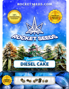 Diesel Cake Strain Feminized Marijuana Seeds