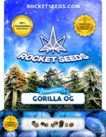 Gorilla OG Strain Feminized Marijuana Seeds