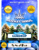 Gumdrop Strain Feminized Marijuana Seeds