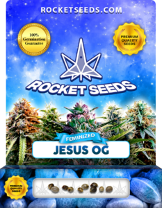 Jesus OG Strain Feminized Marijuana Seeds