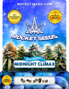 Midnight Climax Strain Feminized Marijuana Seeds