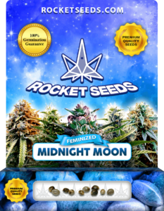 Midnight Moon Strain Feminized Marijuana Seeds