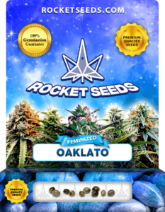 Oaklato Strain Feminized Marijuana Seeds