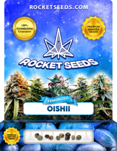 Oishii Strain Feminized Marijuana Seeds