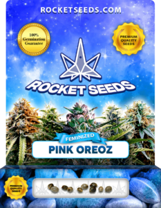 Pink Oreoz Strain Feminized Marijuana Seeds