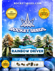 Rainbow Driver Strain Feminized Marijuana Seeds