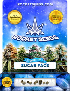 Sugar Face Strain Feminized Marijuana Seeds