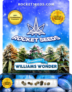 Williams Wonder Strain Feminized Marijuana Seeds