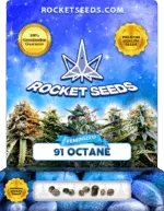 91 Octane Strain Feminized Seeds