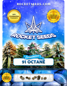 91 Octane Strain Feminized Seeds