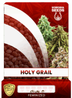 Holy Grail Strain Feminized Marijuana Seeds