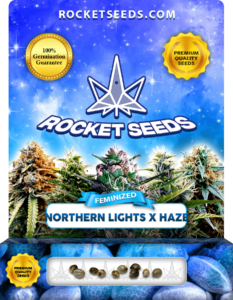 Northern Lights x Haze Strain Feminized Marijuana Seeds