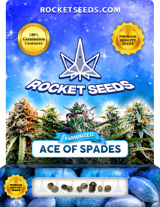 Ace of Spades Strain Feminized Seeds