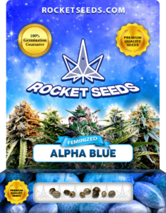 Alpha Blue Strain Feminized Seeds