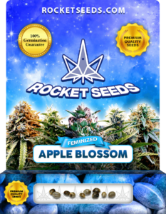 Apple Blossom Strain Feminized Seeds