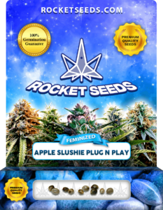 Apple Slushie Plug n Play Strain Feminized Marijuana Seeds