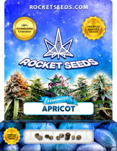 Apricot Strain Feminized Seeds