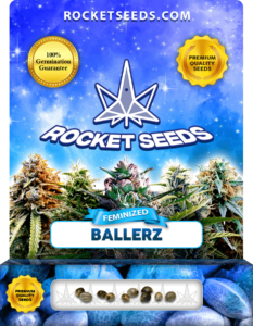 Ballerz Strain Feminized Seeds