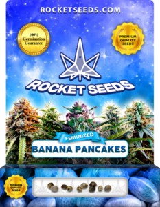 Banana Pancakes Strain Feminized Seeds