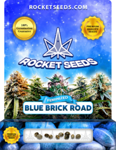 Blue Brick Road Strain Feminized Seeds