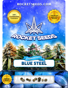 Blue Steel Strain Feminized Seeds