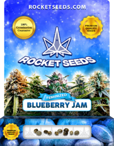 Blueberry Jam Strain Feminized Seeds