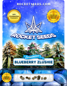 Blueberry Zlushie Strain Feminized Seeds