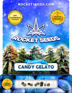 Candy Gelato Strain Feminized Seeds