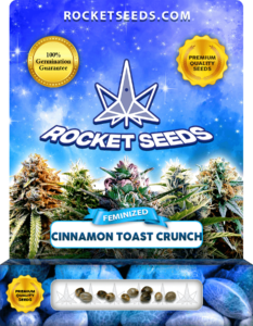 Cinnamon Toast Crunch Strain Feminized Seeds