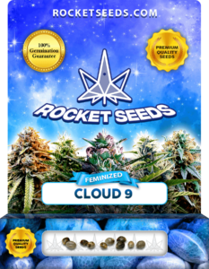 Cloud 9 Strain Feminized Seeds