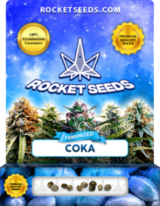 Coka Strain Feminized Seeds