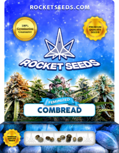 Combread Strain Feminized Marijuana Seeds