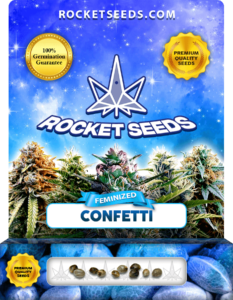 Confetti Strain Feminized Seeds