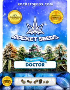 Doctor Strain Feminized Marijuana Seeds