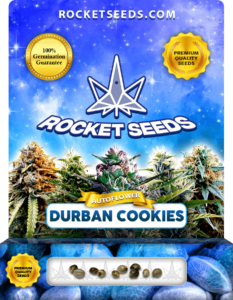 Durban Cookies Strain Autoflower Seeds