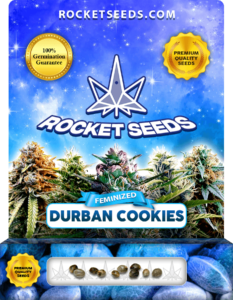 Durban Cookies Strain Feminized Seeds