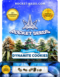 Dynamite Cookies Strain Feminized Seeds