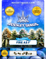 Fire as F Strain Feminized Seeds