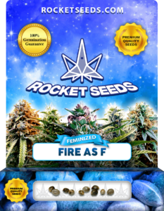 Fire as F Strain Feminized Seeds