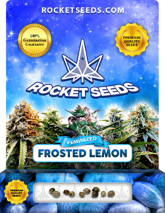 Frosted Lemon Strain Feminized Marijuana Seeds