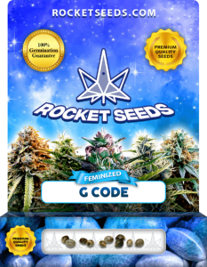 G Code Strain Feminized Marijuana Seeds