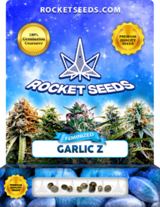 Garlic Z Strain Feminized Seeds