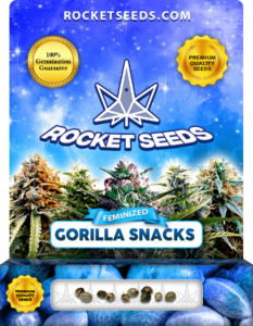 Gorilla Snacks Strain Feminized Seeds