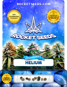 Helium Strain Feminized Seeds