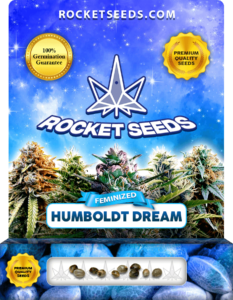 Humboldt Dream Strain Feminized Seeds