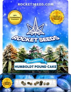 Humboldt Pound Cake Strain Feminized Seeds