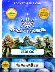 Jedi OG Strain Feminized Seeds