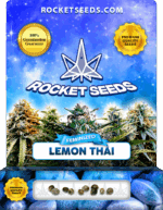 Lemon Thai Strain Feminized Seeds