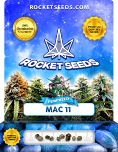 Mac 11 Strain Feminized Seeds