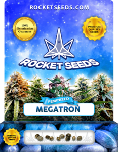 Megatron Strain Feminized Seeds